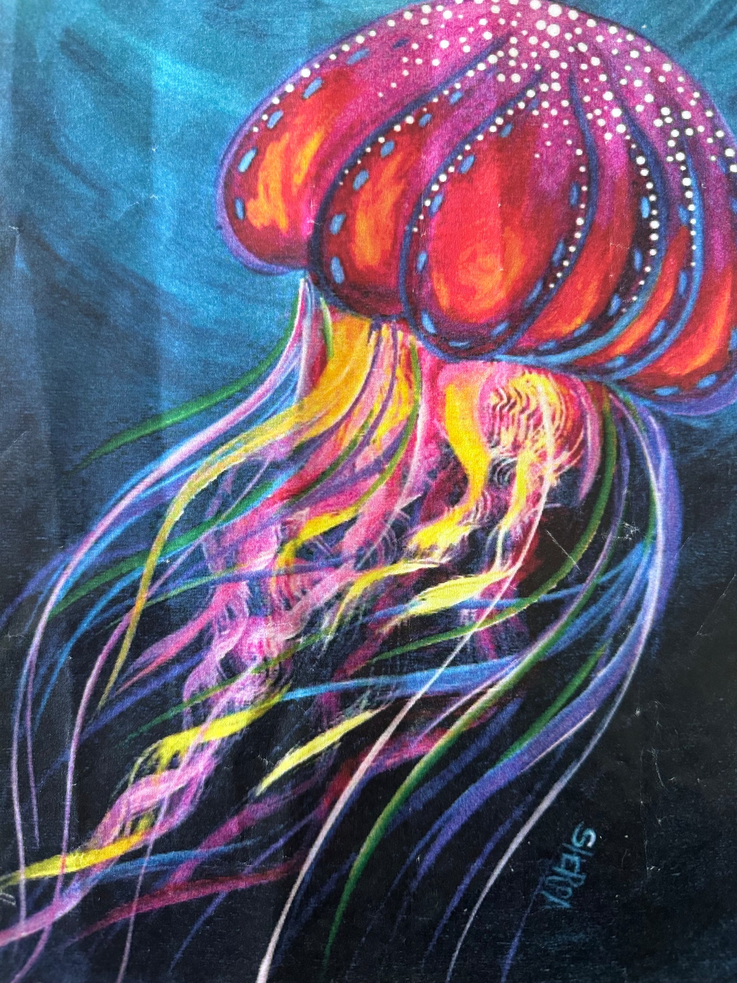 Jellyfish - Sketch & Paint