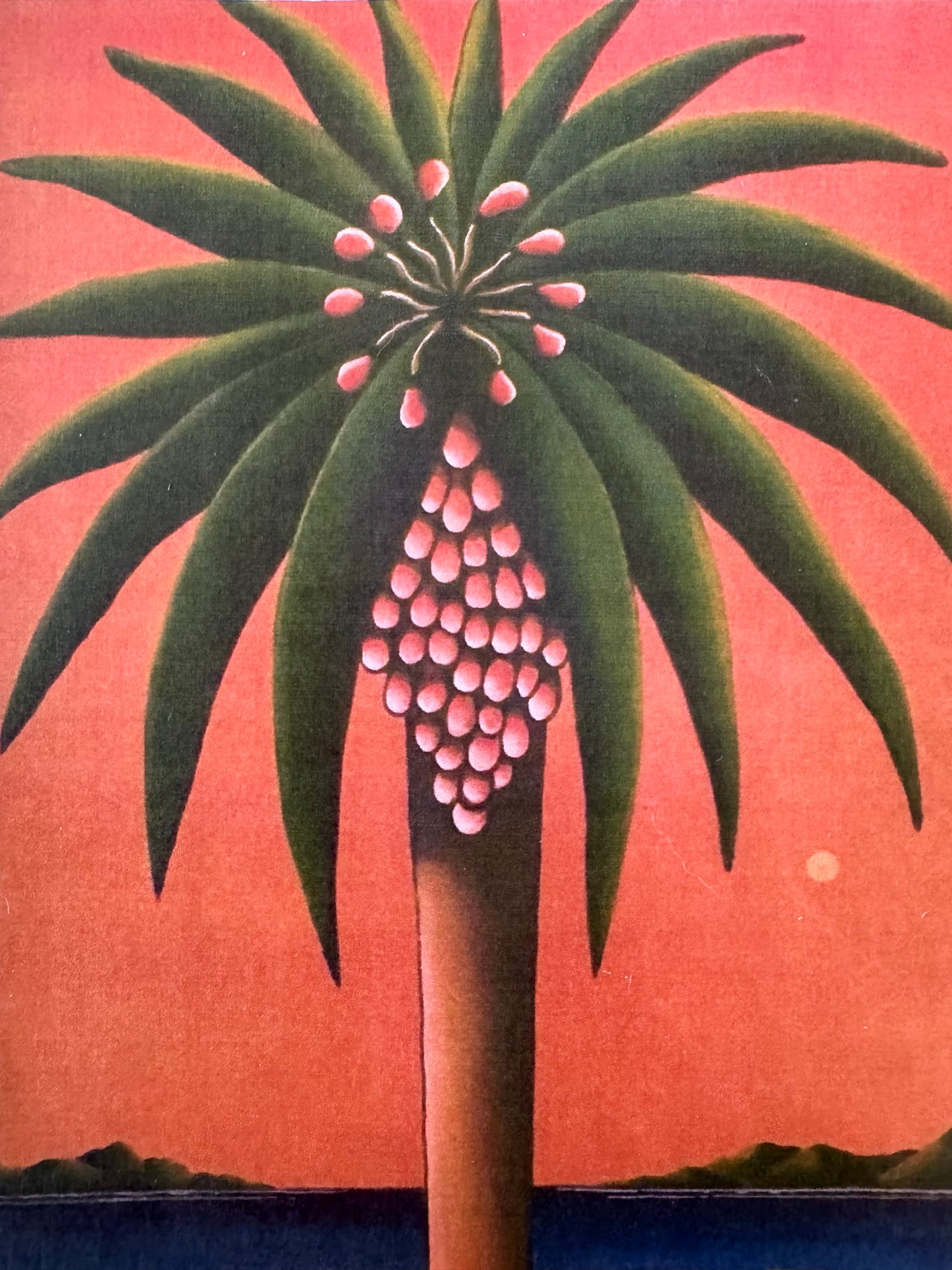 Palm Tree - Sketch & Paint