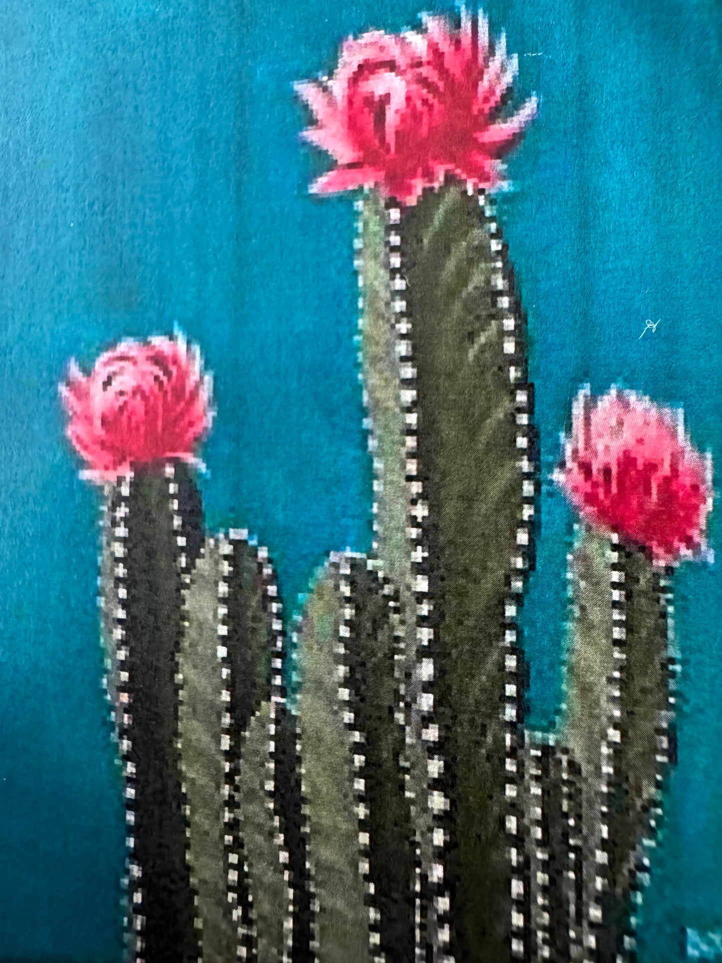 Cactus - Sketch & Paint